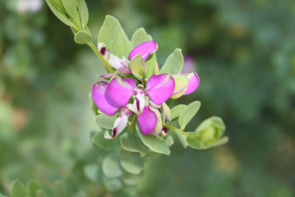 andalusien_oktober_2011_c_svenja_skeide_0016