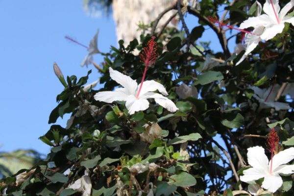 andalusien_oktober_2011_c_svenja_skeide_0041