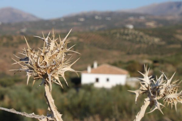 andalusien_oktober_2011_c_svenja_skeide_0102
