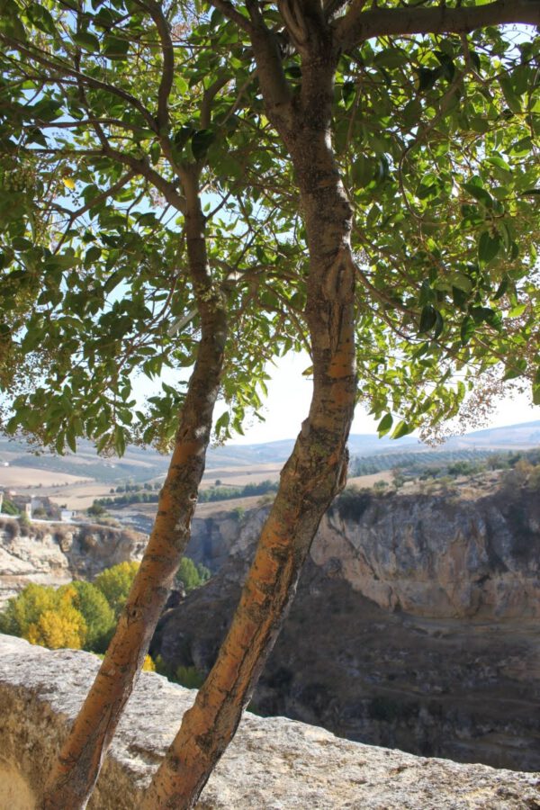 andalusien_oktober_2011_c_svenja_skeide_0128