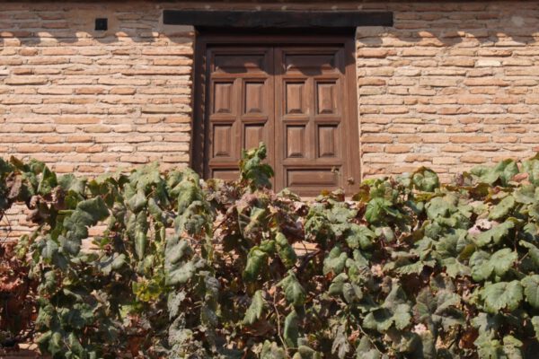 andalusien_oktober_2011_c_svenja_skeide_0151