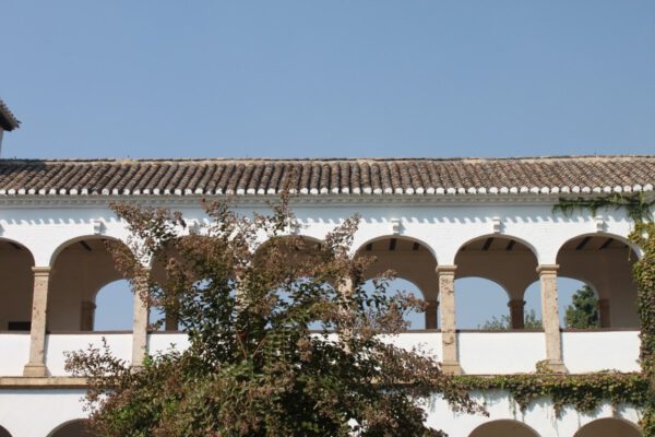 andalusien_oktober_2011_c_svenja_skeide_0164
