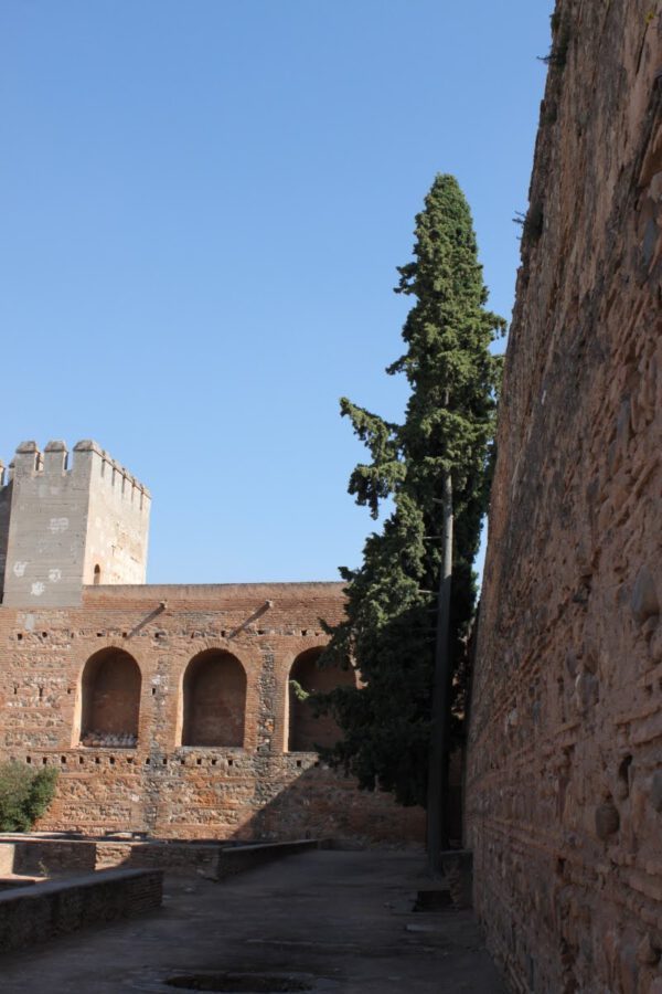 andalusien_oktober_2011_c_svenja_skeide_0202