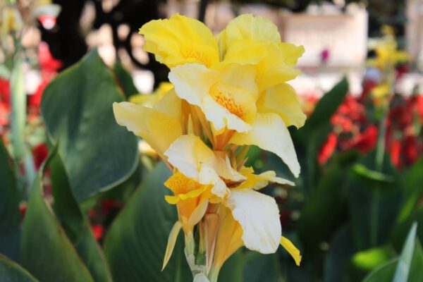 andalusien_oktober_2011_c_svenja_skeide_0206