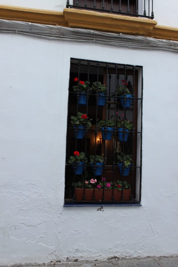 andalusien_oktober_2011_c_svenja_skeide_0447