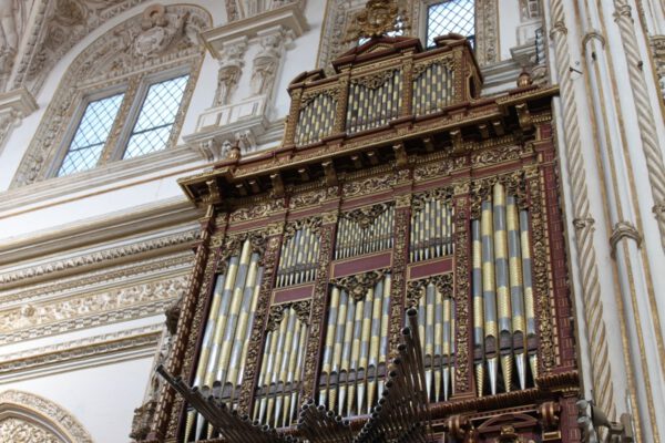 andalusien_oktober_2011_c_svenja_skeide_0477