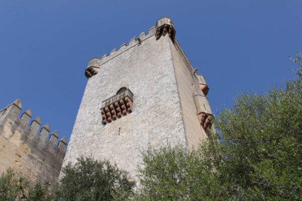 andalusien_oktober_2011_c_svenja_skeide_0510