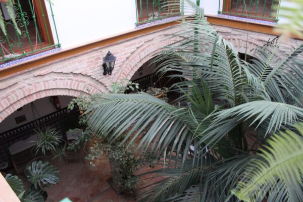andalusien_oktober_2011_c_svenja_skeide_0525