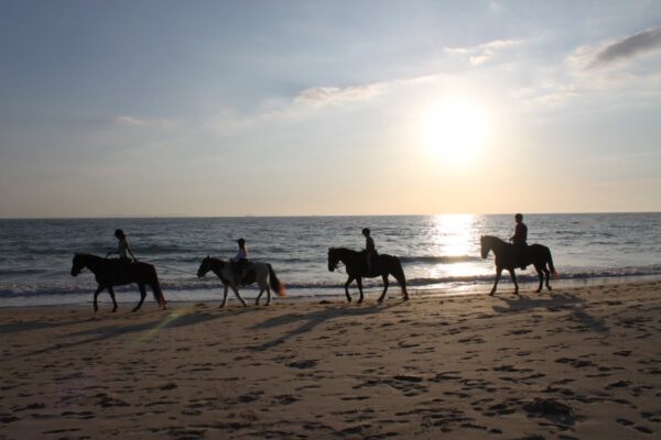 andalusien_oktober_2011_c_svenja_skeide_0683