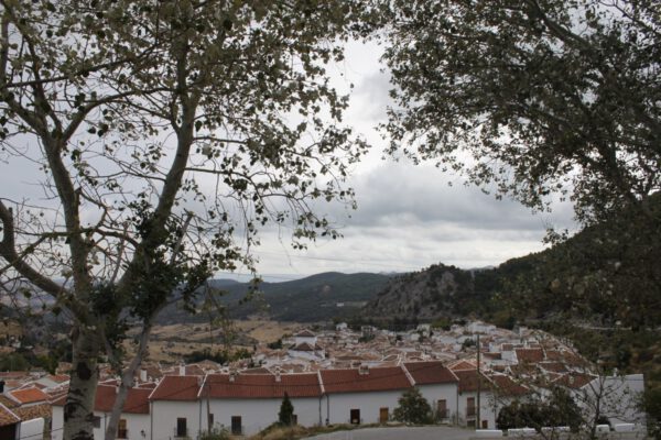 andalusien_oktober_2011_c_svenja_skeide_1097