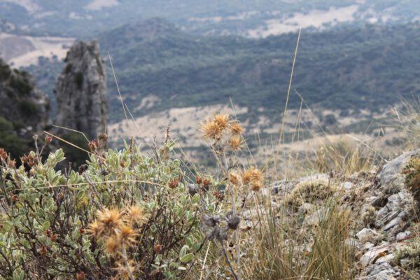 andalusien_oktober_2011_c_svenja_skeide_1113