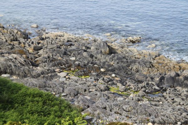 schottland_0487_c_svenja_skeide