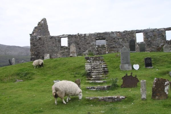 schottland_0534_c_svenja_skeide
