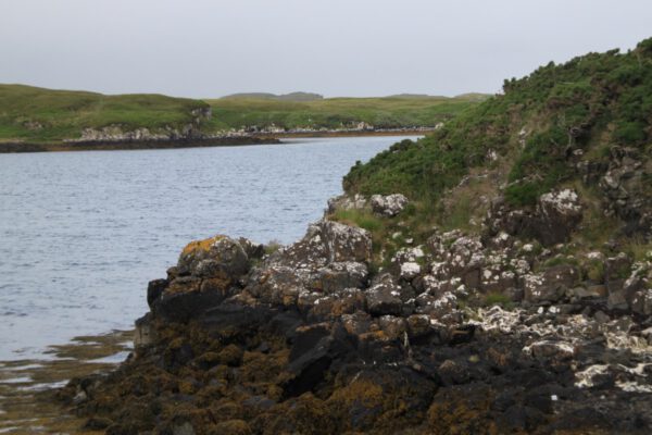 schottland_0698_c_svenja_skeide
