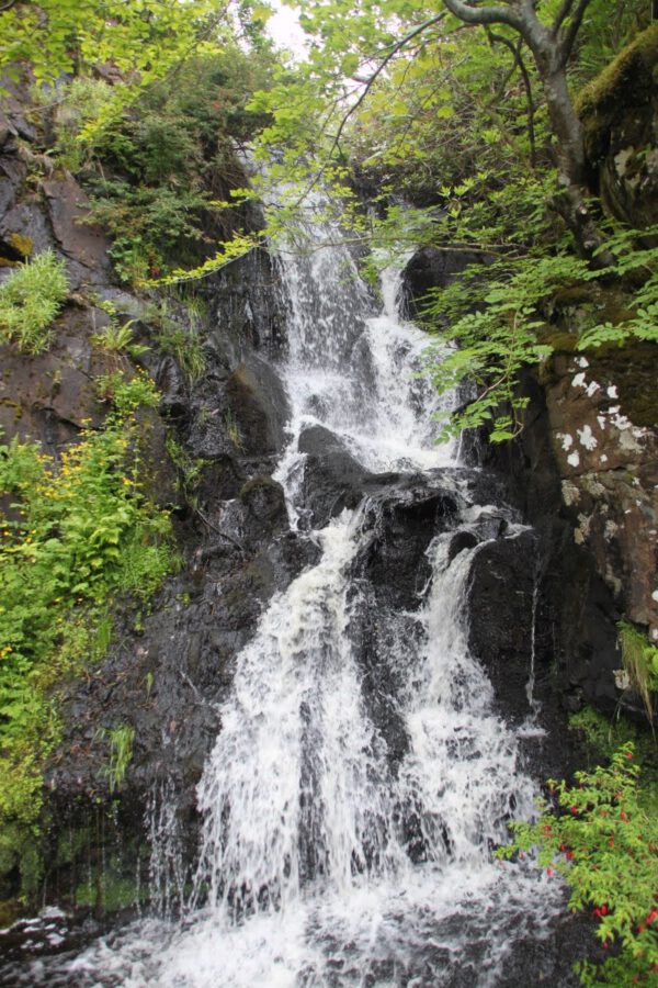 schottland_0734_c_svenja_skeide