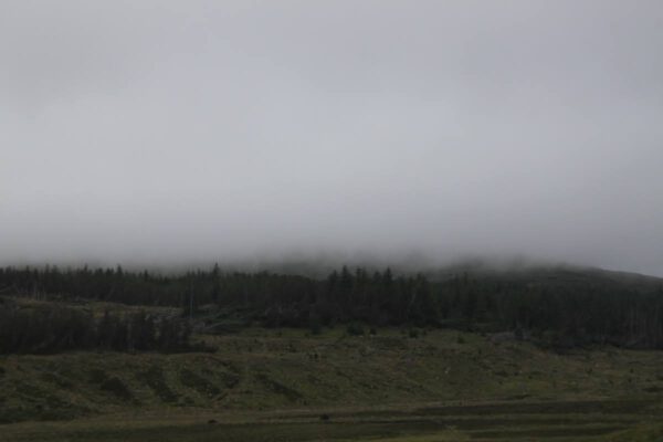schottland_0742_c_svenja_skeide