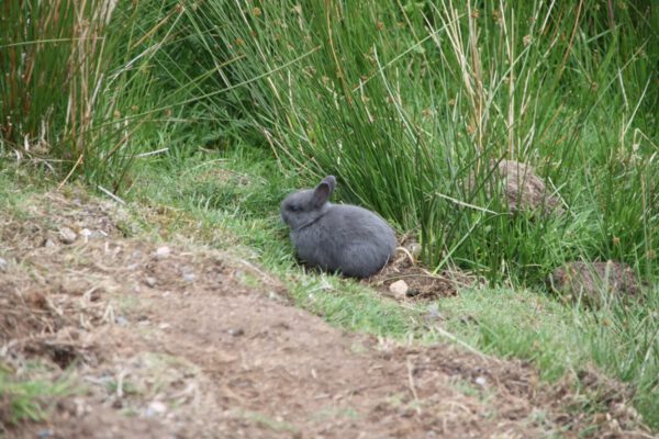 schottland_0924_c_svenja_skeide