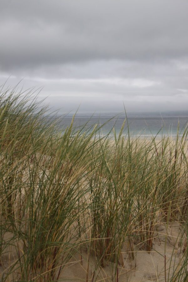 schottland_1025_c_svenja_skeide