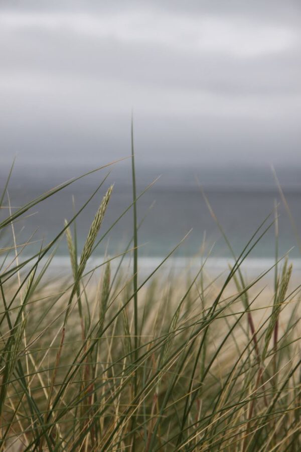 schottland_1026_c_svenja_skeide