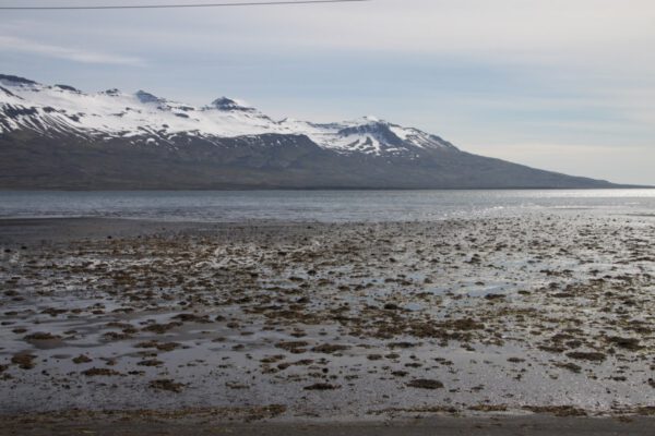 101n75c2_1_island_2014_c_svenja_skeide_305