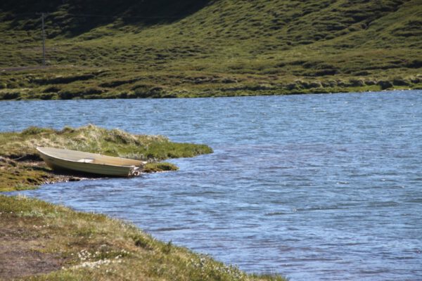 102n5xya_1_island_2014_c_svenja_skeide_216
