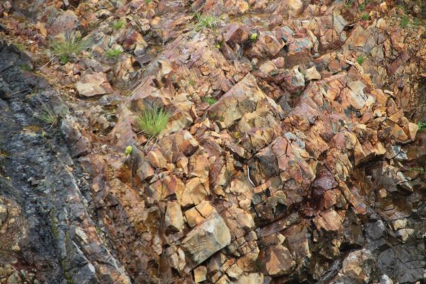 102r416v_1_island_2014_c_svenja_skeide_042