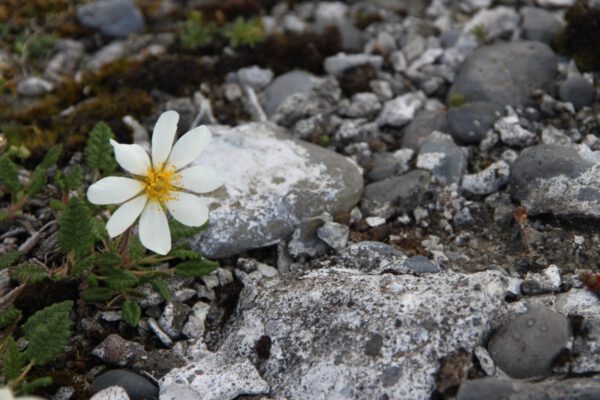 106huz01_3_island_2014_c_svenja_skeide_024