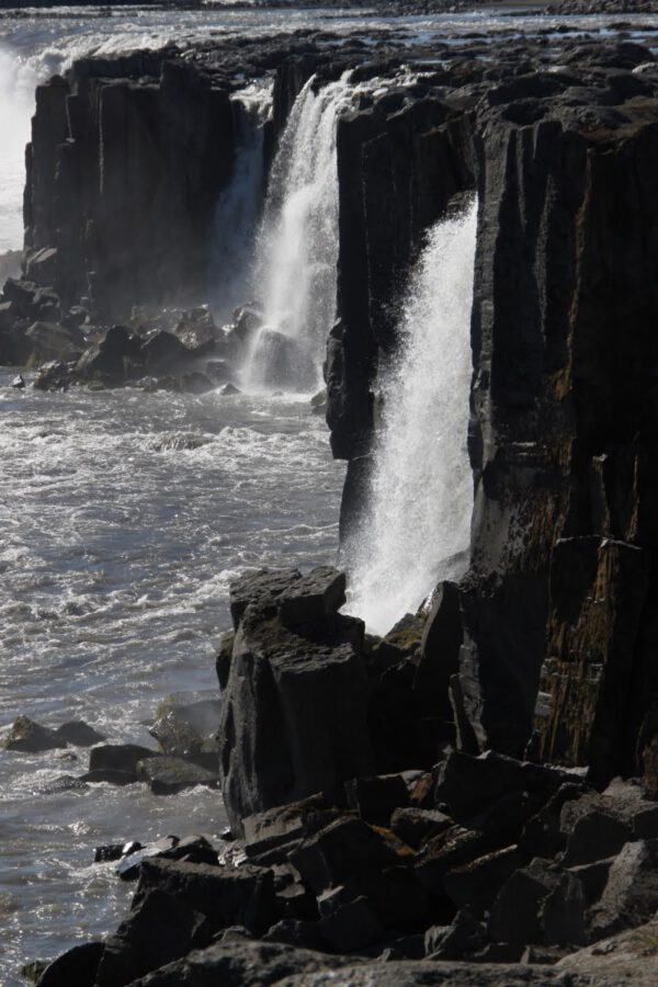 109dpb45_1_island_2014_c_svenja_skeide_236