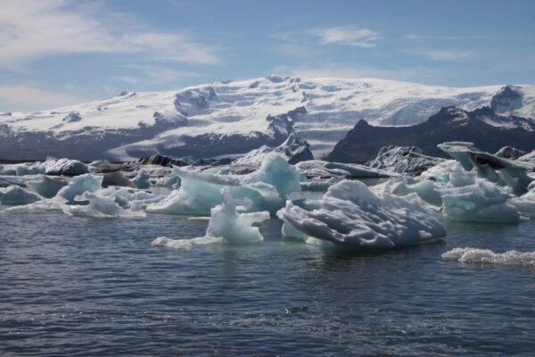 10c61og1_3_island_2014_c_svenja_skeide_363