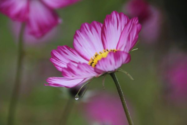 img_1547