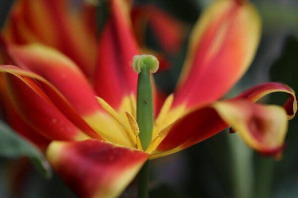 img_3547