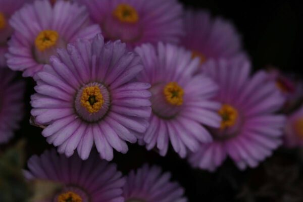 img_4297