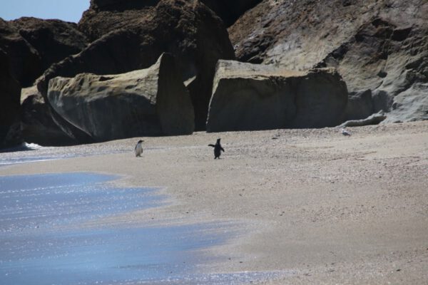 img_4898