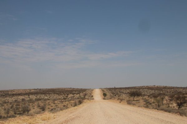 20190921110254_img_9249737942502525816212