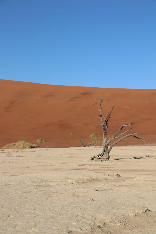 20190922083415_img_94647095021373118267989