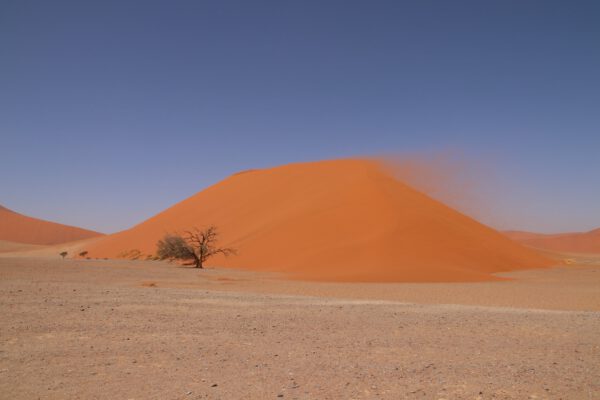 20190922110904_img_96081905418633479742417