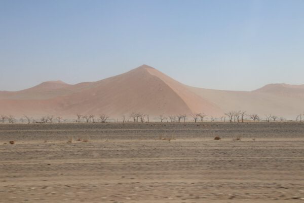 20190922111637_img_96097212263522356577817