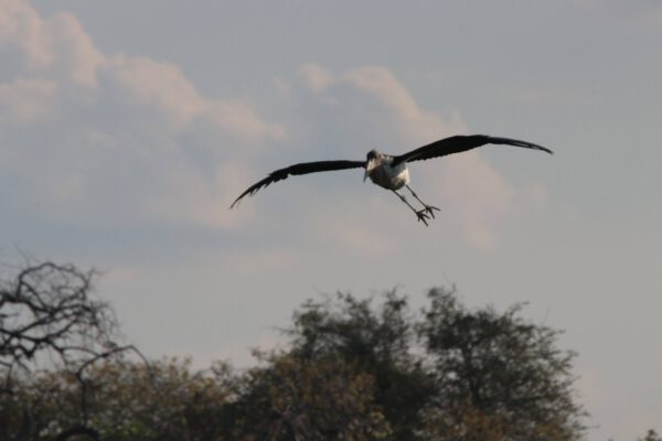 20191005165450_img_10071605368946452937684
