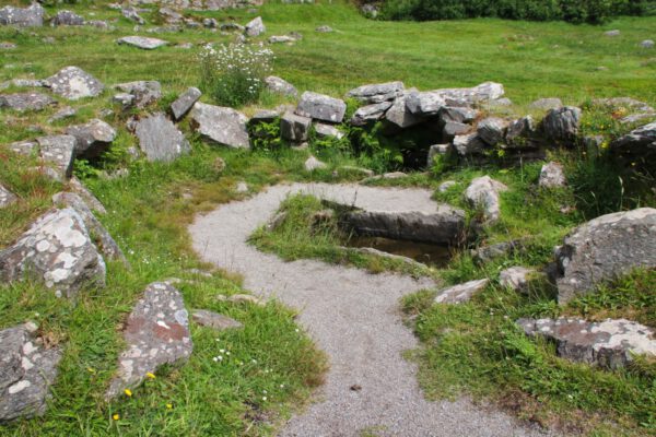 20220610130418_IMG_2976