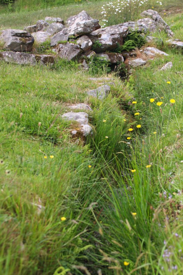 20220610130627_IMG_2978