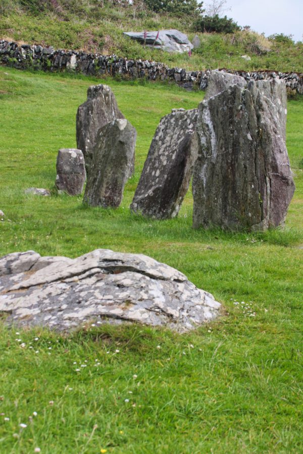 20220610130737_IMG_2979