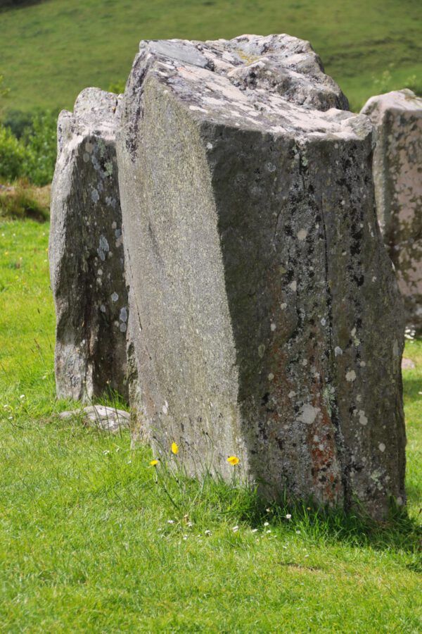 20220610130931_IMG_2982