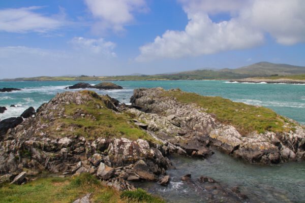 20220610141252_IMG_2992