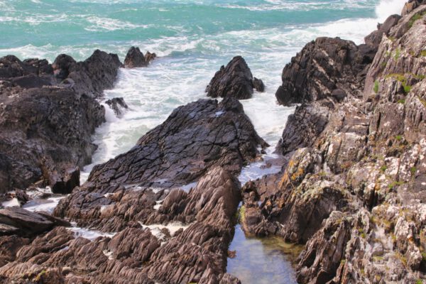 20220610141321_IMG_2994