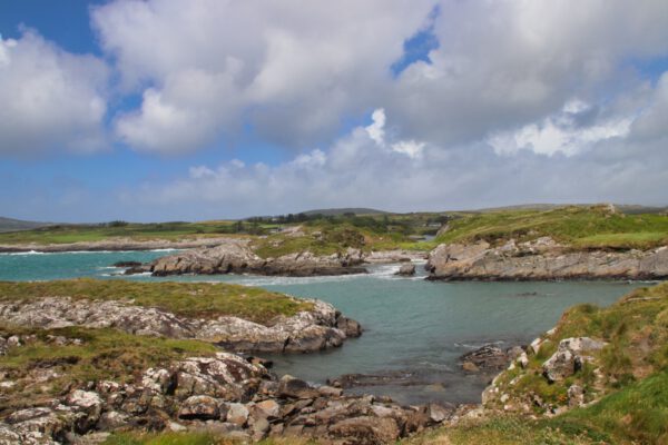 20220610141416_IMG_2997