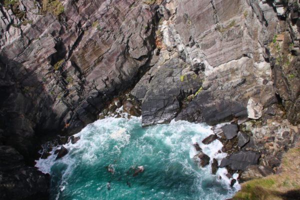 20220610150825_IMG_3006