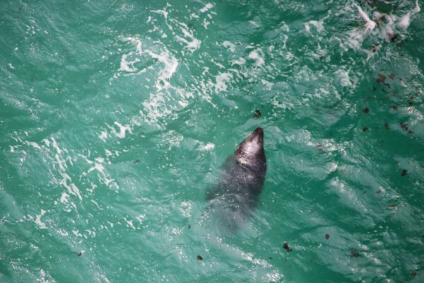 20220610150849_IMG_3008