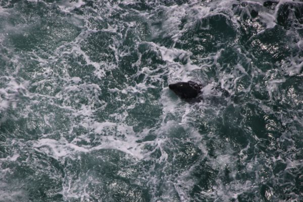 20220610151231_IMG_3028