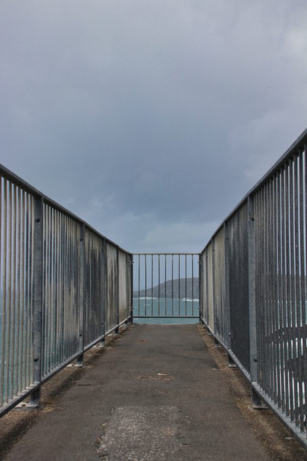 20220610151707_IMG_3041