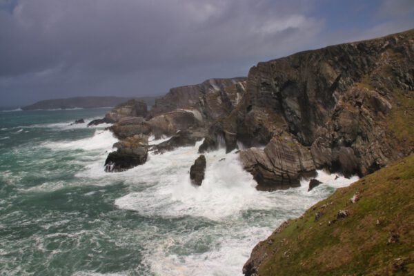 20220610151809_IMG_3046